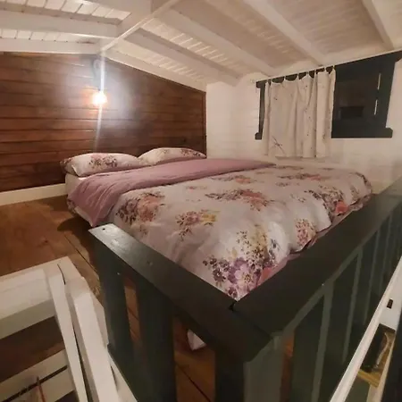 35 Tiny House Lägenhet Çeşme
